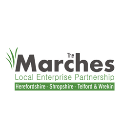 Logo 16